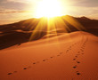 Quadro Desert
