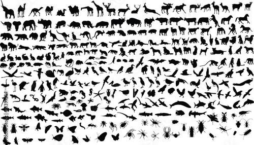 300 vector silhouettes of animals