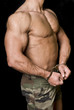 bodybuilding 7