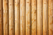 Fresh wooden fence Fresh wooden fence