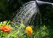 L'eau, c'est la vie