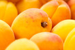 apricot
