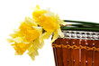 spring flowers in a basket