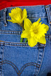 Spring In My Pocket