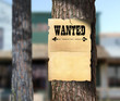 Wanted