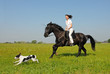 cavaliere et son chien cavaliere et son chien