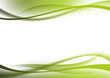 abstract background green curves abstract background green curves