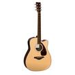 Acoustic Guitar