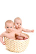 Two babies in the basket, girls Two babies in the basket, girls