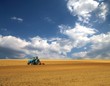 country
