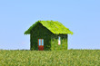 Concept d'une maison écologique.