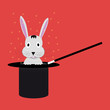 Top hat with rabbit