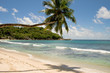 Palmenstrand