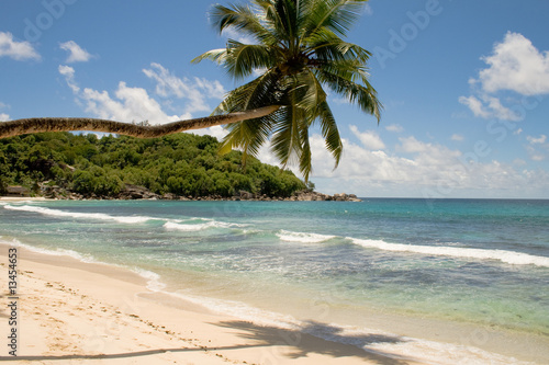 Foto: Palmenstrand Palmenstrand