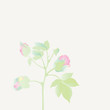 plant blossoming