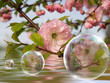 aprilfrisch