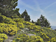 Parque Natural de Peñalara, Madrid