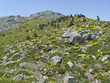 Parque Natural de Peñalara, Madrid