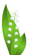 Brin de muguet Brin de muguet