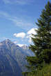 Paesaggio montagna