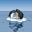 Fun penguins