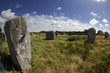 Gli allineamenti di menhir a Kermario