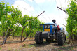 tractor at vineyard