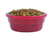 dog food