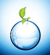Wet Glass Ball with Leaves