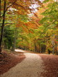 colors of fall