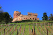 Castle in Alsace