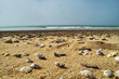 Strand Atlantik
