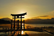 Torii gate of shrine