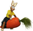 hase_01