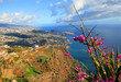 View over Funchal, Madeira Island from Carbo Girao