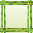 bamboo
