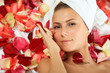 in rose petals