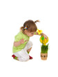 Cute girl watering the flower Cute girl watering the flower
