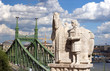 The Freedom bridge, Budapest