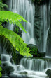 Garden waterfalls Garden waterfalls