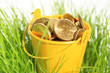 Money in grass. Money in grass.