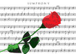 Symphony