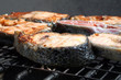 Salmão Grelhado - Saumon - Grilled Salmon Salmão Grelhado - Saumon - Grilled Salmon