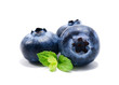 Blueberry isolated on white background