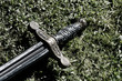 Sword