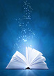 Magic book