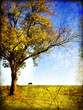countryside landscape- picture in painting style