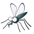 mücke moskito fliege mücke moskito fliege