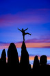 Climber balances on the summit.