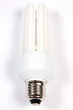 lampadina